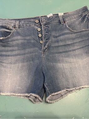 Time and Tru Blue Denim Jean Shorts